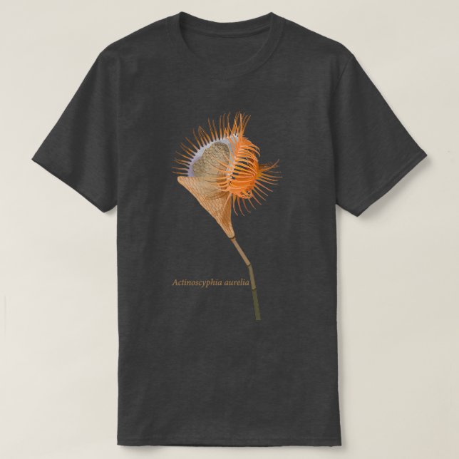 Camiseta Vênus flytrap-mar anêmona Actinoscyphia aurelia (Frente do Design)