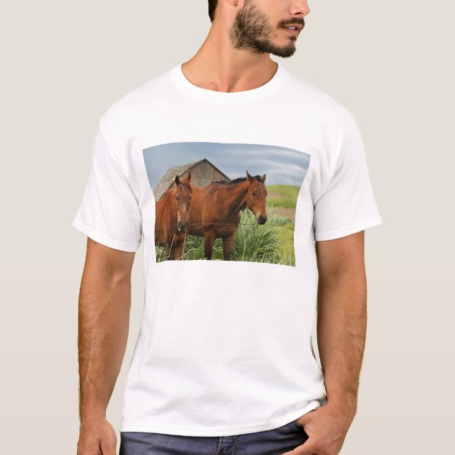 Camiseta Ver cavalos num campo na Palha 3 (Frente)