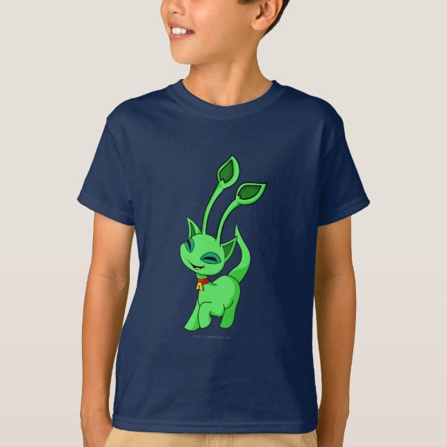 Camiseta Verde de Aisha (Frente)