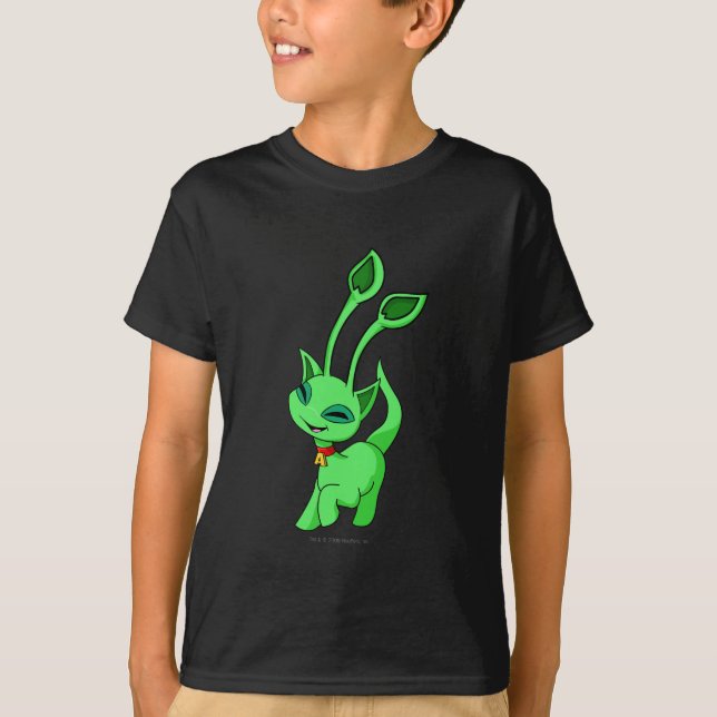 Camiseta Verde de Aisha (Frente)