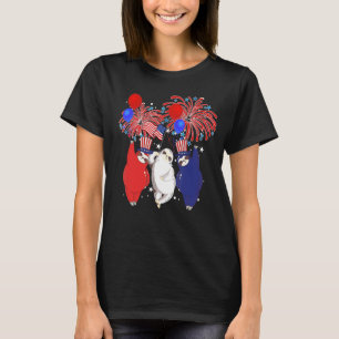 Camiseta Vermelho Branco Cinto Azul Lama e Bandeira dos Est