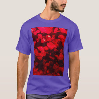 CAMISETA VERMELHO PEIXE