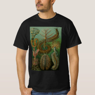 Camiseta Vermes Annelids Chaetopoda vintage por Ernst Haeck