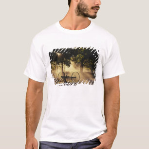 Camiseta Vermont, Nordeste Reino, Luz do sol caindo