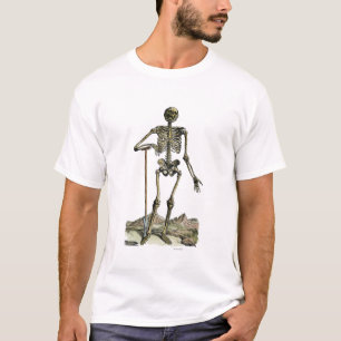 Camiseta Vesalius: Sistema esqueletal
