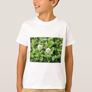 Camiseta Vestuário e Flores