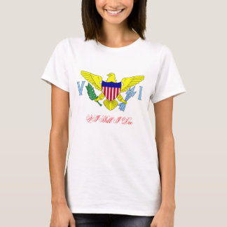 Camiseta VI génios