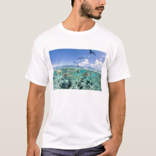 Camiseta Viagem de safári pela lagoa com arraias