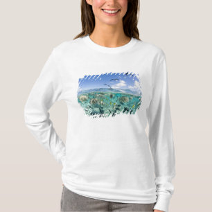 Camiseta Viagem de safári pela lagoa com raias