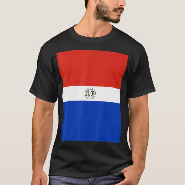 Camiseta Viagem do Patrimônio do Paraguai Flag Souvenir (Frente)