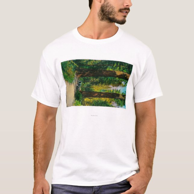 Camiseta Viajando de automóvel através da floresta gigante, (Frente)