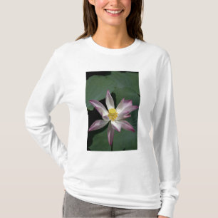 Camiseta Vietnã, perto de Saigon) Meu Tho. Vinh Trang