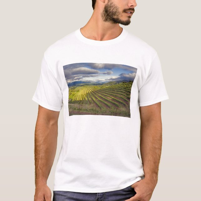 Camiseta Vineyard. Vale Napa. Napa. Condado de Napa, (Frente)