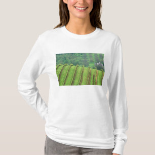 Camiseta Vinhas de uva perto de Newberg Oregon