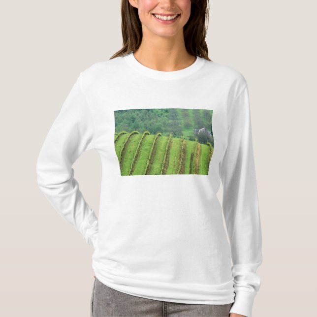 Camiseta Vinhas de uva perto de Newberg Oregon (Frente)