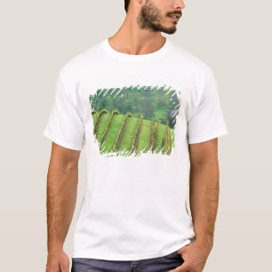 Camiseta Vinhas de uva perto de Newberg Oregon