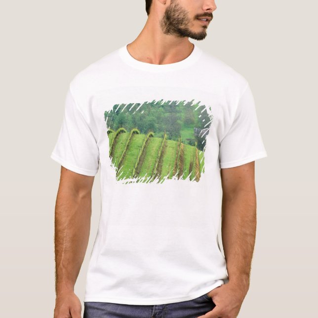 Camiseta Vinhas de uva perto de Newberg Oregon (Frente)