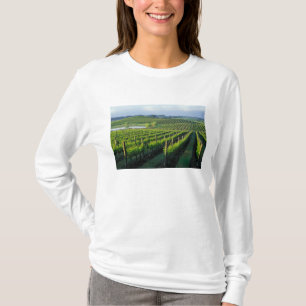 Camiseta Vinhas em fileiras organizadas na Napa Califórnia
