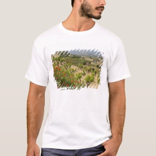 Camiseta Vinhas perto de Laguardia, capital de La Rioja
