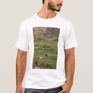 Camiseta Vinhas Smokvica em Korcula a partir da Toreta