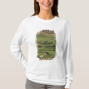 Camiseta Vinhas Smokvica em Korcula a partir da Toreta