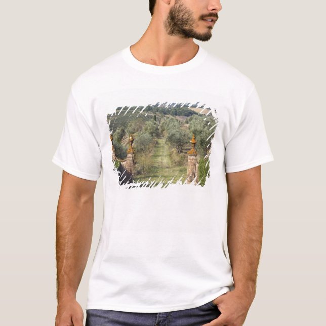 Camiseta Vinhas, Toscana, Itália (Frente)