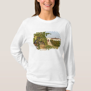 Camiseta Vinhas, videiras petit verdot e a adega ao