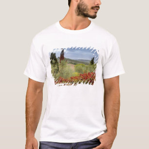 Camiseta Vinícola perto de Montalcino, Toscana, Itália