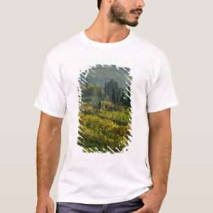Camiseta Vinícola, Toscana, Itália