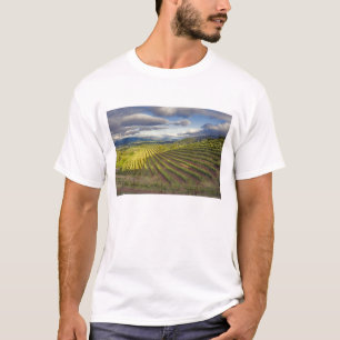 Camiseta Vinícola. Vale de Napa. Napa. Condado de Napa,