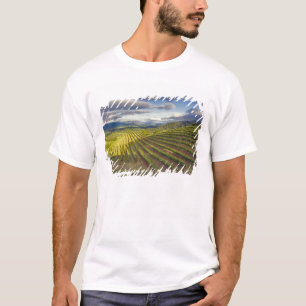 Camiseta Vinícola. Vale de Napa. Napa. Condado de Napa,