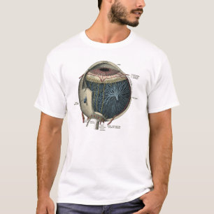 Camiseta Vintage 1902 da anatomia do olho humano