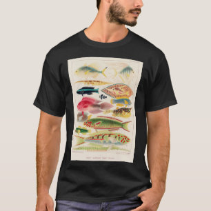 Camiseta Vintage Austrália Excelente Barrier Reef Fiss 6