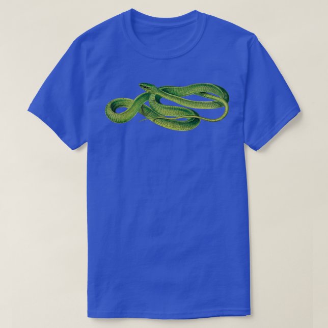 Camiseta Vintage Cobra Pictures Boomslang Cobra Vintage Rep (Frente do Design)