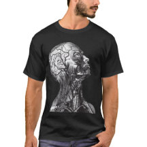 Vintage do pescoço da cabeça da anatomia médica