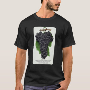 Camiseta Vintage Early Ohio Grape Fruta Botanical Specials