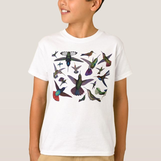 Camiseta Vintage Hummingbird (Frente)