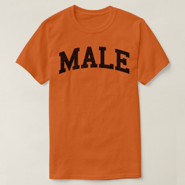 Camiseta Vintage Male Ivy League (Frente do Design)