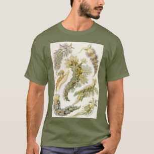 Camiseta Vintage Nudibranchia, Sea Slugs por Ernst Haeckel