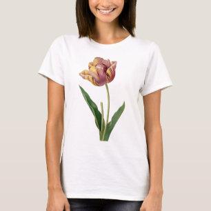 Camiseta Vintage Pastéis de Tulipas Variegadas
