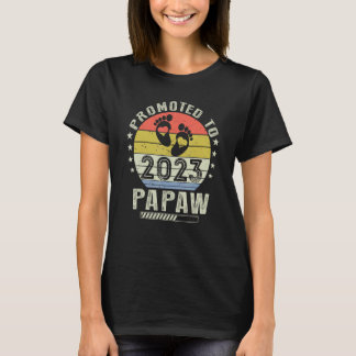 Camiseta Vintage Promoted To Papaw 2023