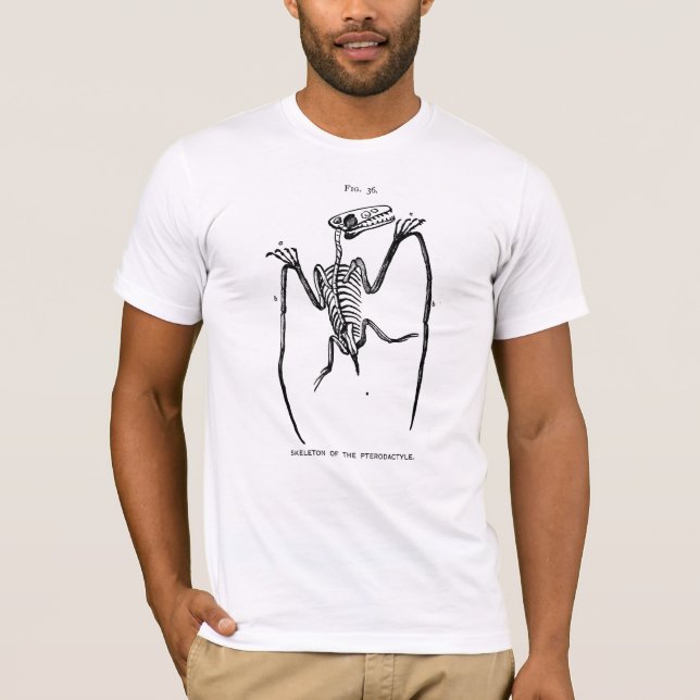 Camiseta Vintage Pterodactyl Fossil T-Shirt (Frente)