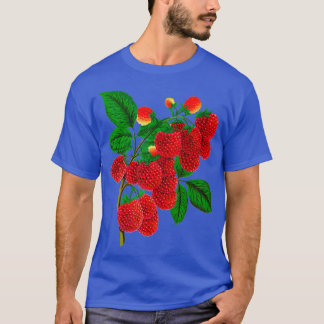 Camiseta Vintage Raspberry