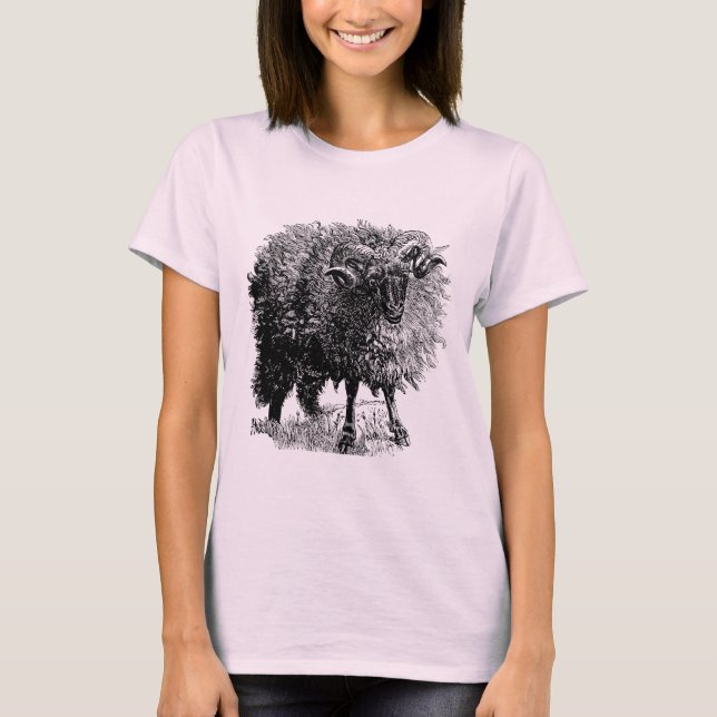 Camiseta Vintage Sheep (Frente)