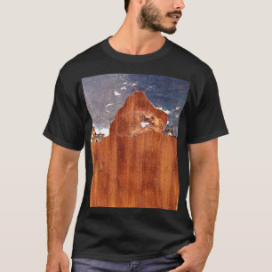 Camiseta Vintage Textura De Ferro.
