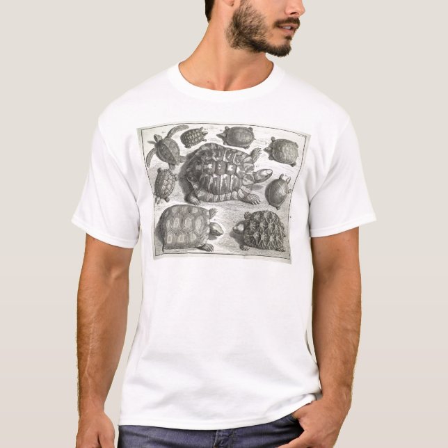 Camiseta Vintage Turtle Etching (Frente)