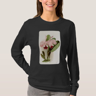 Camiseta Vintage Warner's Cattley's Orchid Flowers and Plan