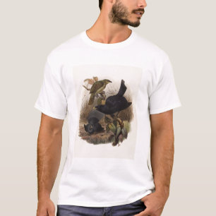 Camiseta Violaceus de Elliot - de Ptilorhynchus -