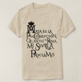 CAMISETA VIRGEN MARIA
