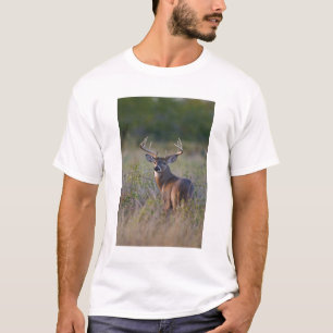 Camiseta virginianus branco-atado) do Odocoileus dos cervos